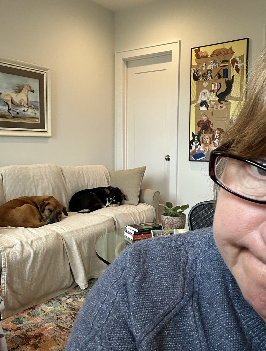 DebMerino's tweet photo. My canine supervisors are brutal. #amwritingfiction #writing #itw #mwa #thrillers https://t.co/dcDZ5wg3PI