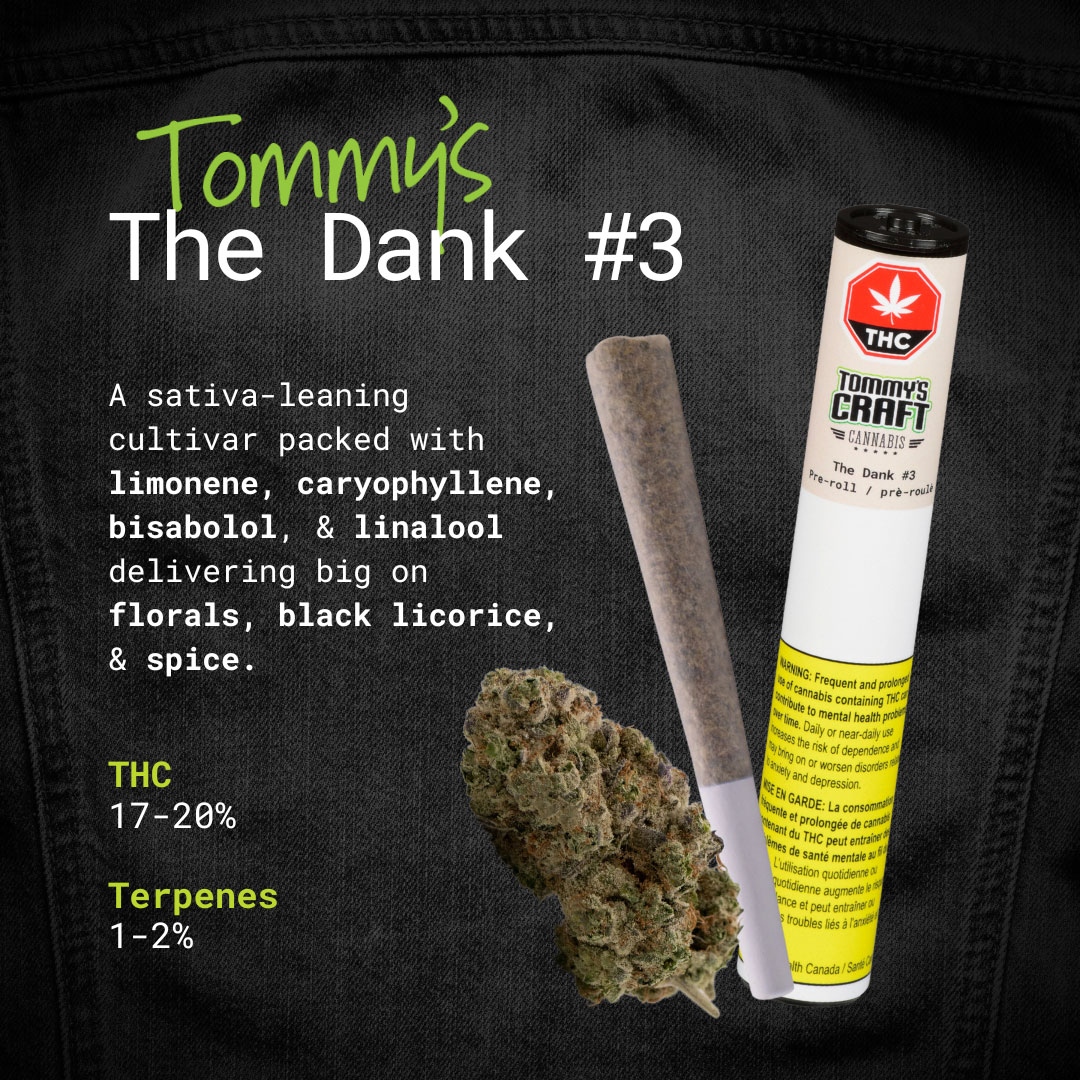 The Dank #3 1g Pre-Roll ~ New to Ontario from Tommy's Craft Cannabis! 

*Whole flower pre-roll
*Hand-finished &amp; hand-packaged 

Mystery lineage! An uncategorized seed from a multi-pack from one of the industry's finest legacy market breeders, Subcool. 

AVAIL OCT 11

<a href="/rgbcannabis/">RGB Group (Home of Tommy's Craft & RGB Cannabis)</a>