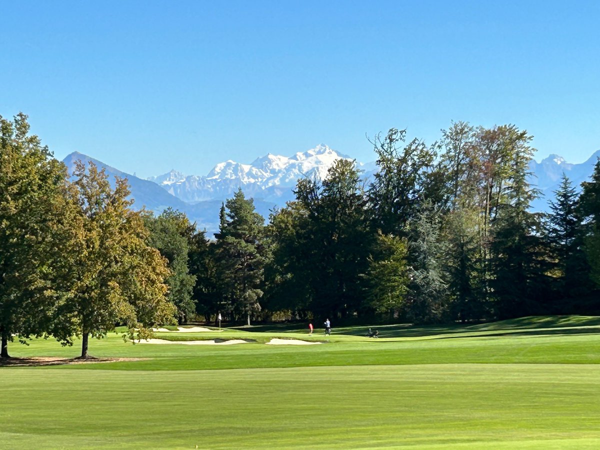 Turfgrass® tweet media