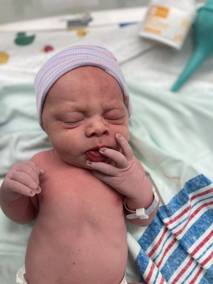 Tyler Bates tweet media