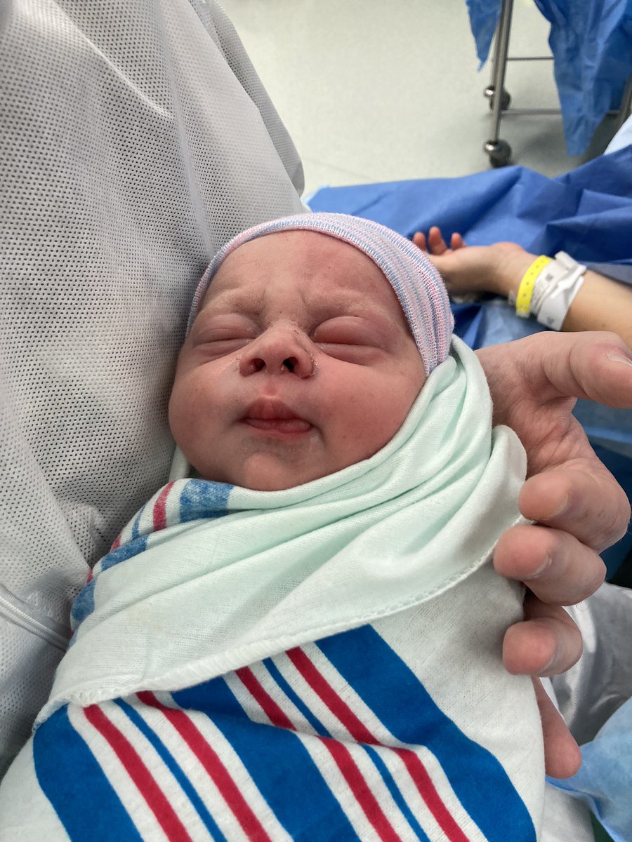 Tyler Bates tweet media