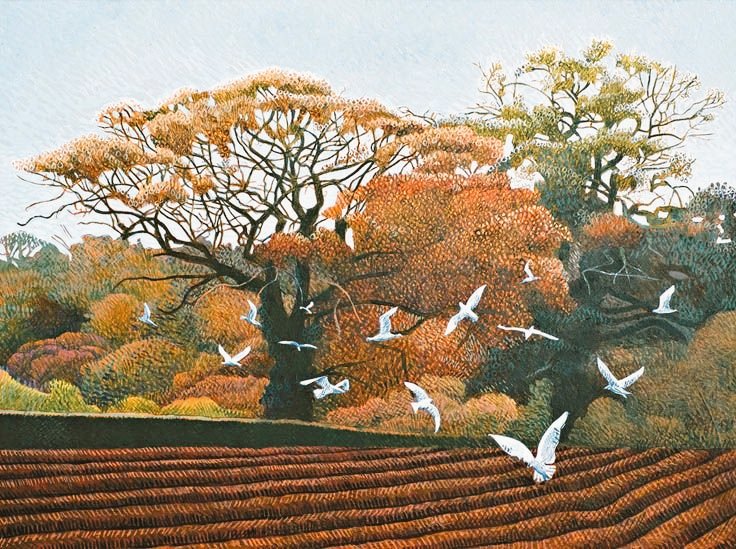 womensart1's tweet image. 'Seagulls and ploughed field' by contemporary UK fine artist Annie Ovenden #WomensArt #October