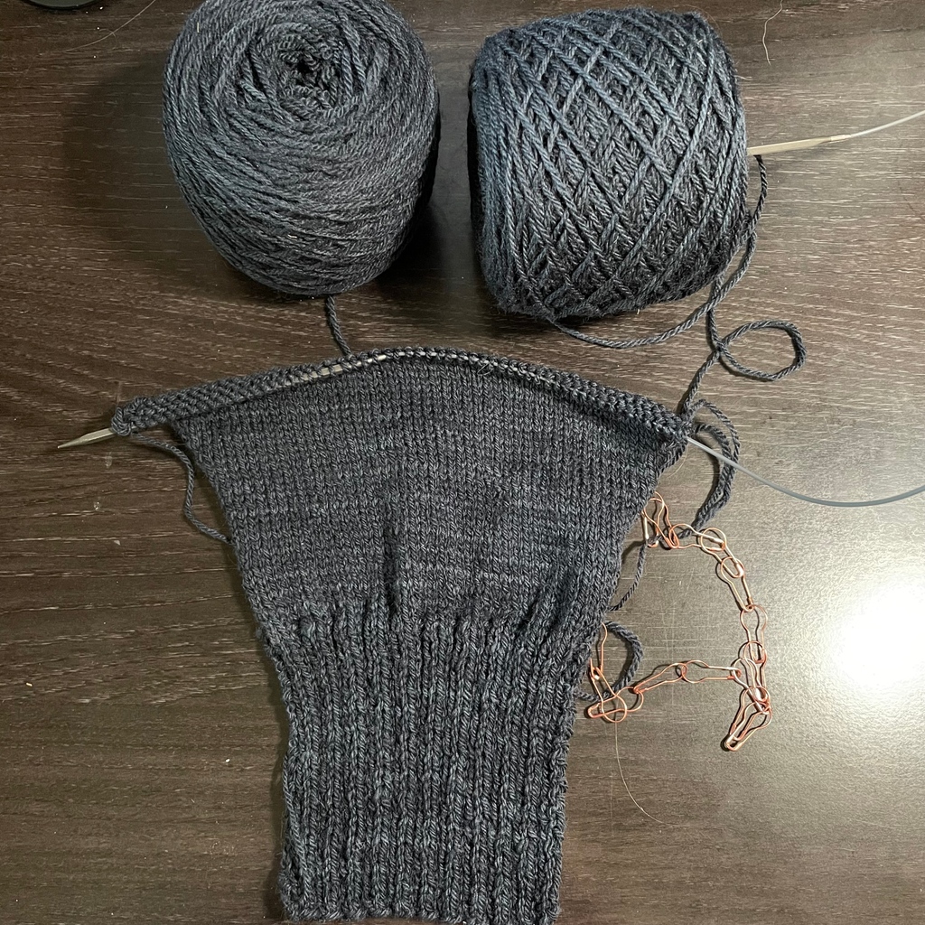 Does anyone else panic that they won’t have enough yarn just before they cast on sleeves? 

I find that I do this -almost every time- regardless of how much yarn I actually have.

(I have enough…) 

#gcwal2022  #ReservoirSweater #CustomFitKnits #SweaterKnitting