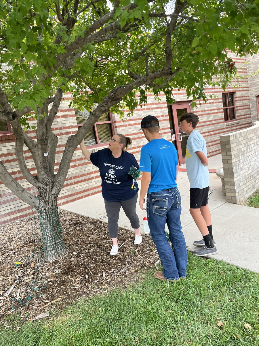 AbilityPoint_'s tweet photo. A huge thank you to some great volunteers from @RoseHill high school today who came out to help put up lights for #TheLightsAtAbilityPoint https://t.co/0xikQPHv9r