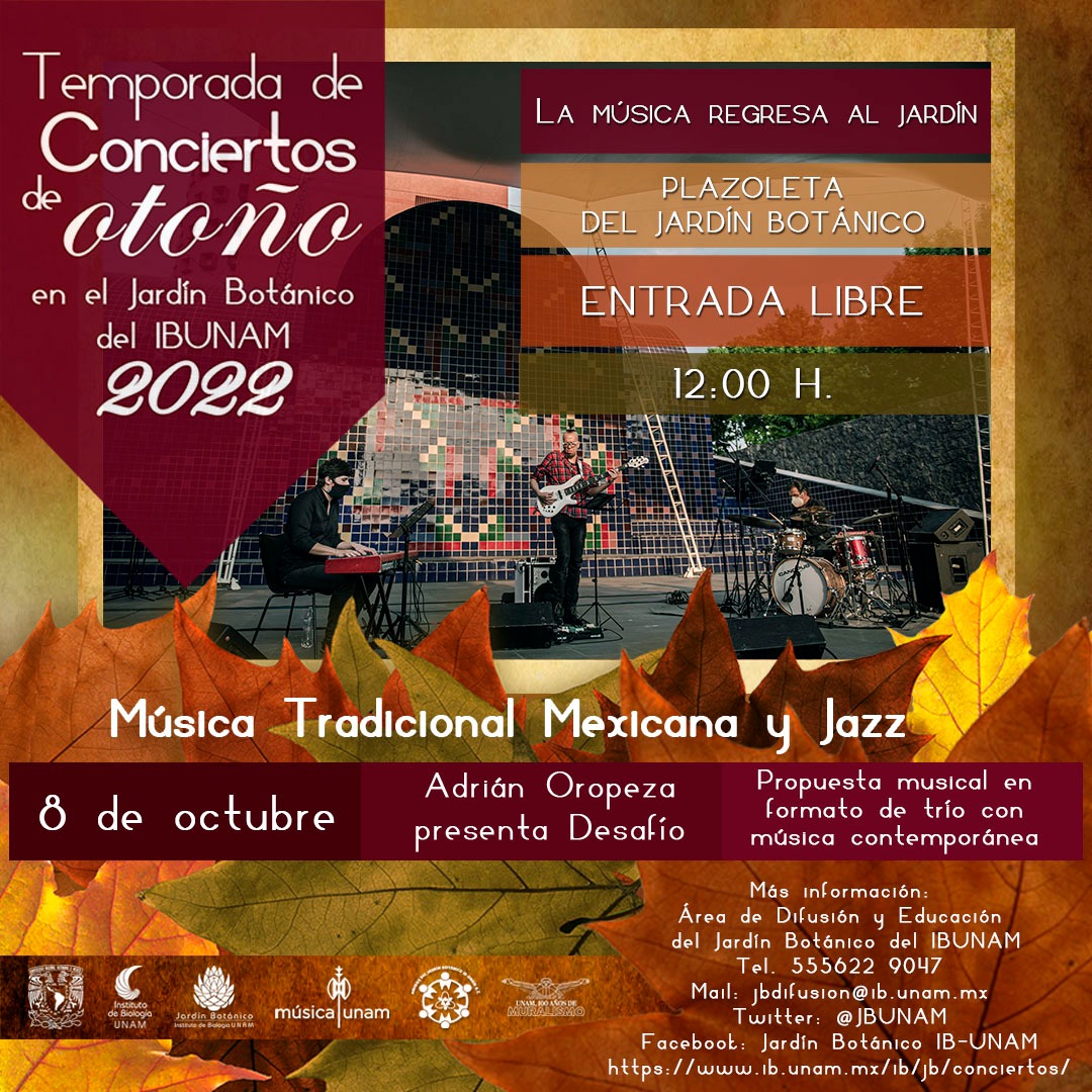 JardínBotánicoIBUNAM tweet media