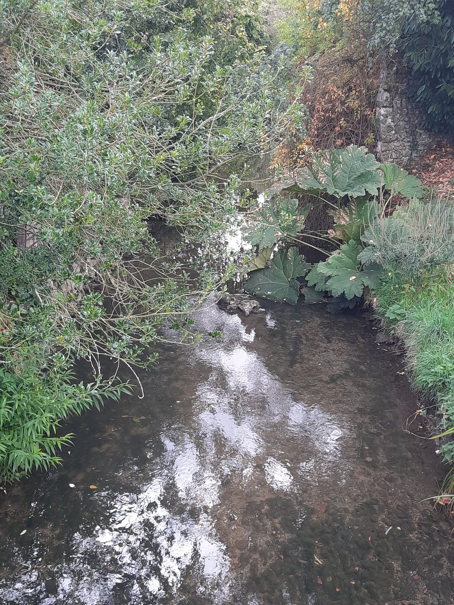 ch_hasenfratz's tweet photo. #Nezel entre 2 photos boulot avec des déchets verts... quelque chose de plus vivant... Un petit pont et une rivière qui serpente.
#BaladeSympa à prévoir 🤗, #paysage
Territoire @CUGPSEO @OTI_GPSEO @Ytourisme https://t.co/9CM4OcxzRy