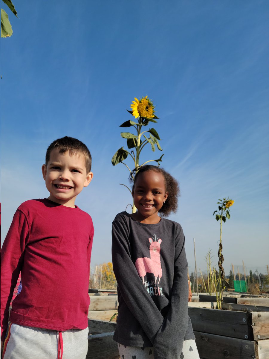 We grabbed our veggie bag from out market and visited the gardens where most was harvested! Soup day tomorrow!!!🥕🥔🧅🧄