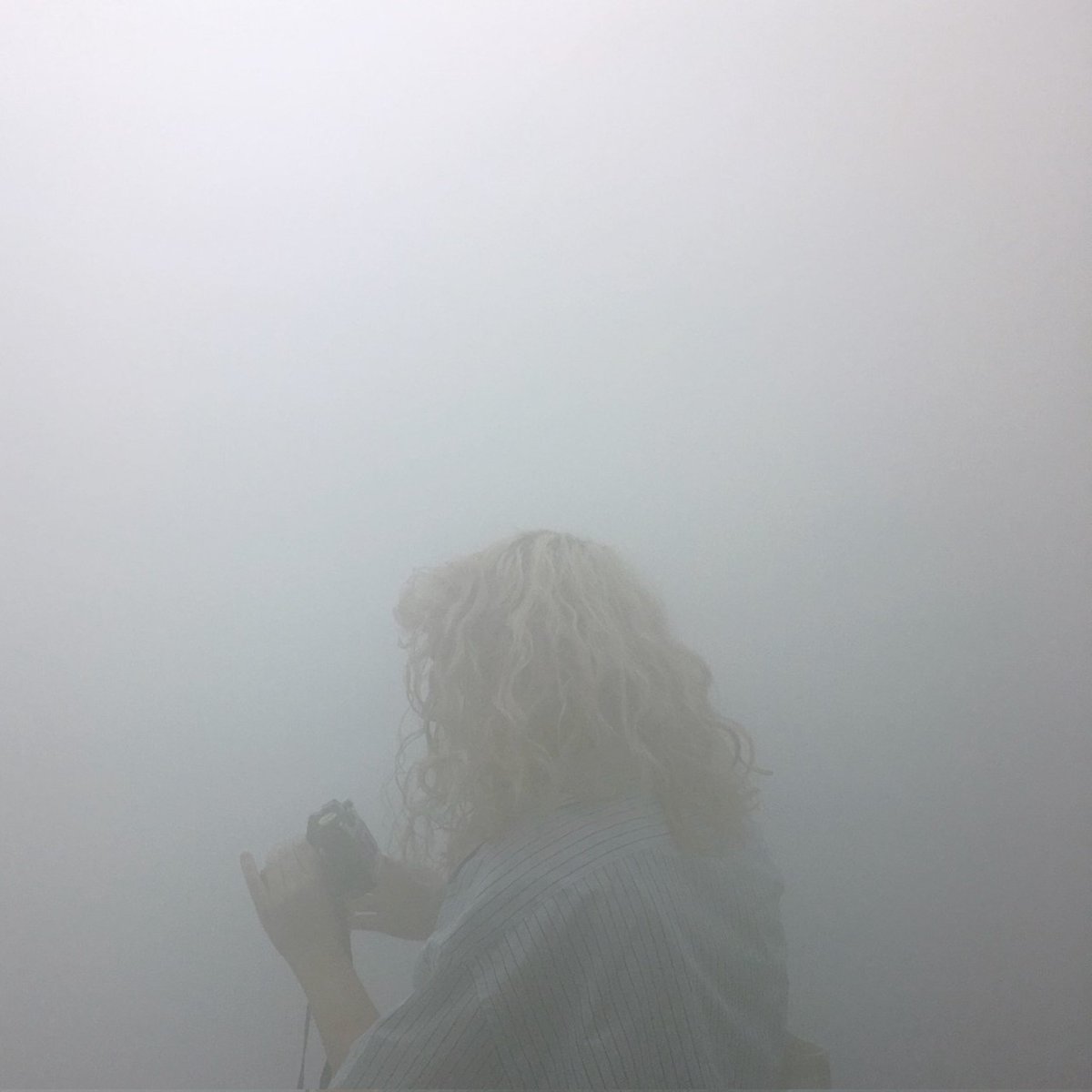 Kipunji / Paul tweet media