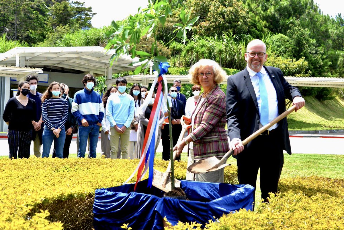 TPeyker's tweet photo. ¡Sembramos juntos! La #Ceiba símbolo por un futuro más verde! Gracias al #ColegioAustriaco y al #ColegioJulioVerne por su dedicación de luchar contra el #cambioclimático #EUClimateDiplomacy #TeamEurope #PactoVerde @eu_eeas @FranciaenGuate @austriainmx https://t.co/EjcakERPGY