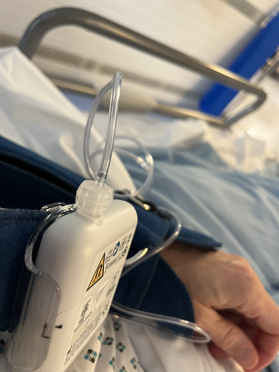 Lowri Bowen tweet media