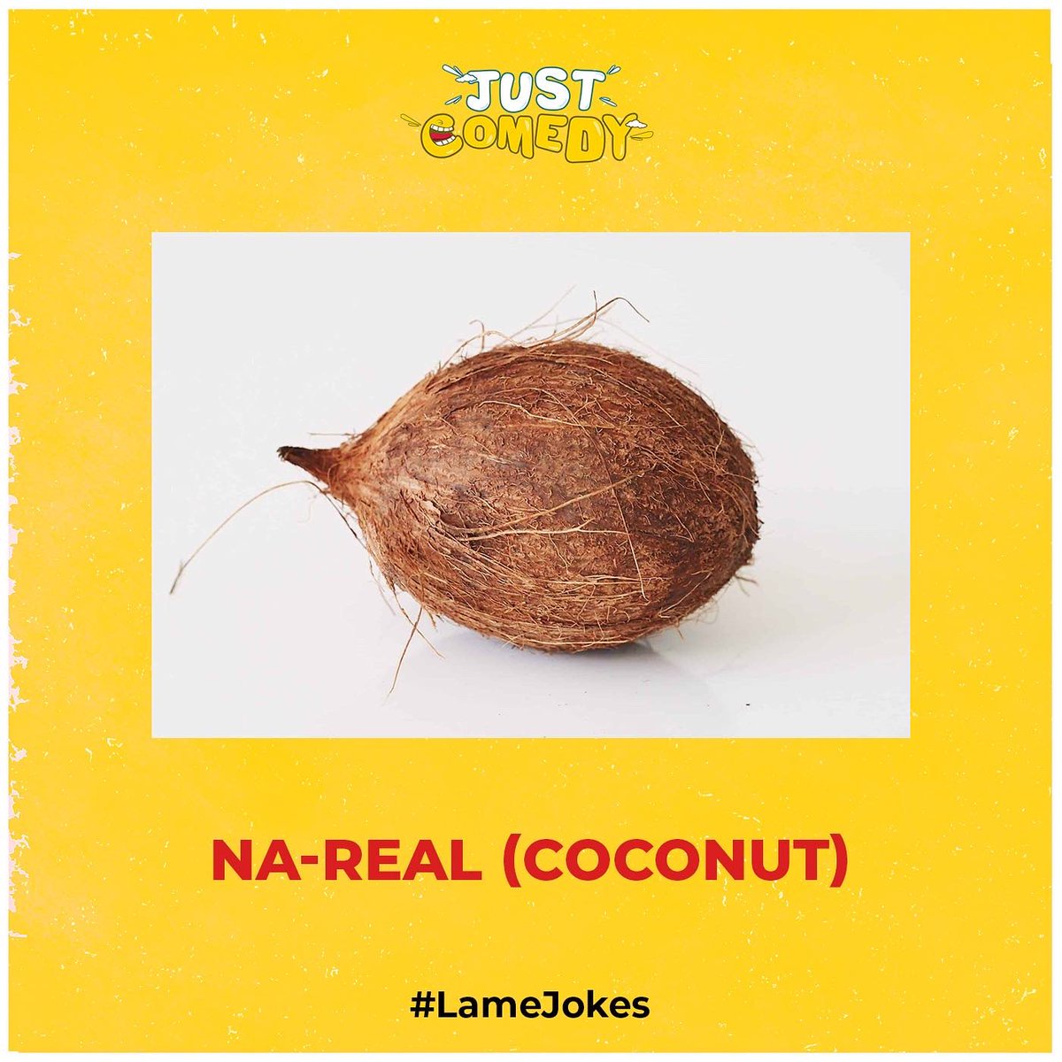 justcomedyfest's tweet photo. But it is real 🥥 
.
.
.
#lamejokes #lame #funnymemes #funnyjokes #jokes #justcomedy #comedy #laugh #lol #fun #pjs #lamé #jokes #funnyjokes #real #coconut #nareal https://t.co/KD0WqfrKvs
