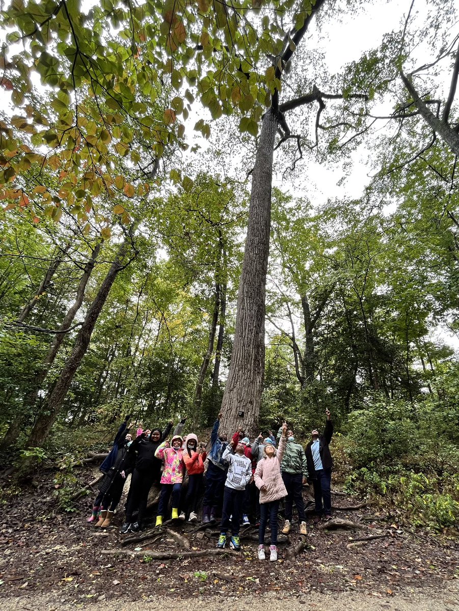 Whitlock ES (@whitlock_es) on Twitter photo Our Whitlock π»s spent some time today at Mt Vernon learning about George Washington and his love for chocolate π«! <a href="/MountVernon/">Mount Vernon</a> <a href="/dcpublicschools/">DC Public Schools</a> <a href="/Whitlock_ES/">Whitlock ES</a> Our Whitlock π»s spent some time today at Mt Vernon learning about George Washington and his love for chocolate π«! <a href="/MountVernon/">Mount Vernon</a> <a href="/dcpublicschools/">DC Public Schools</a> <a href="/Whitlock_ES/">Whitlock ES</a>