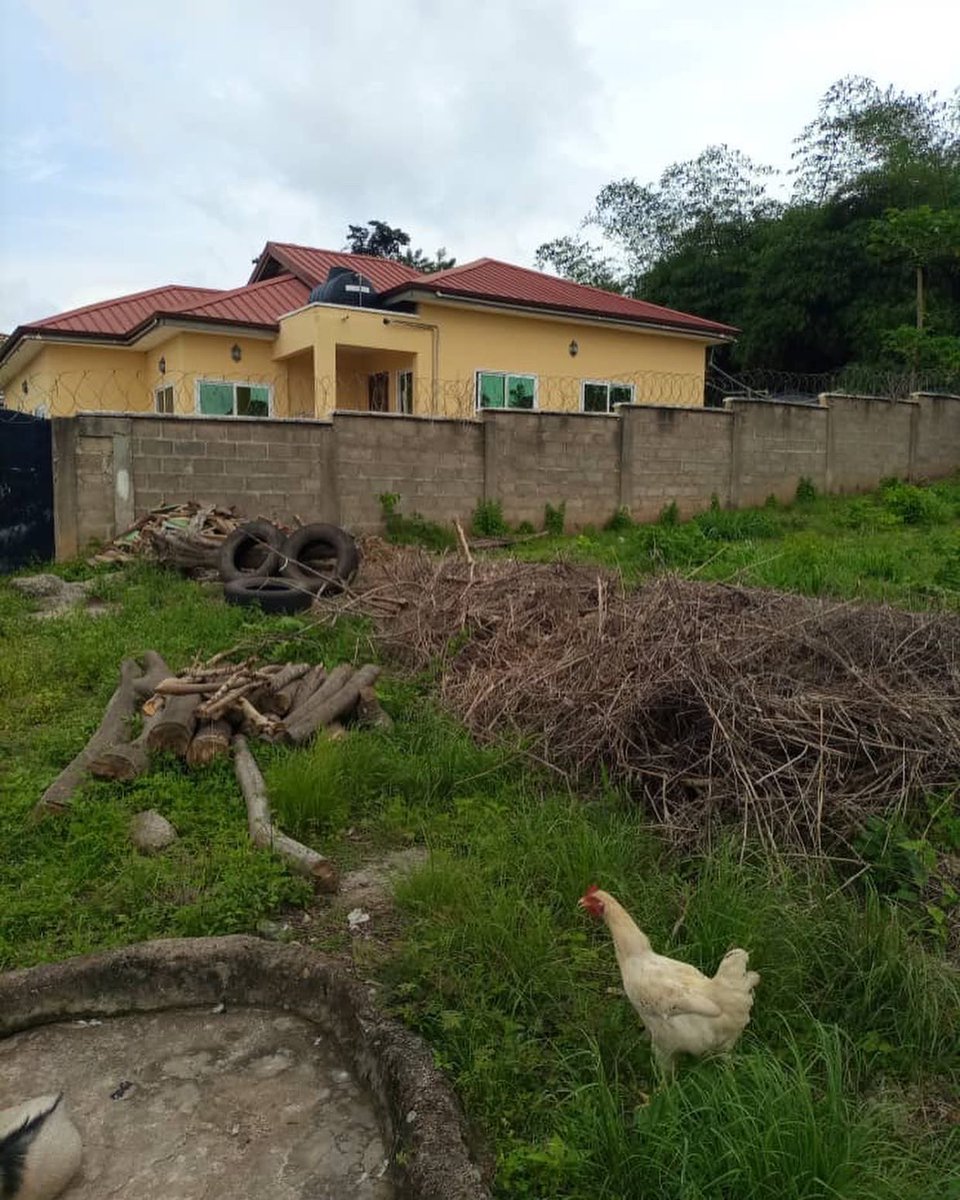 AFAWI's tweet photo. Our School Farm Project - how it started versus how it's going! https://t.co/jtiNDU6k5g