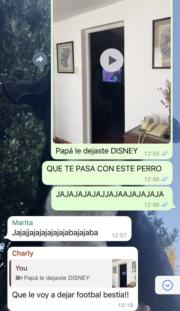 Ro Castañeda tweet media