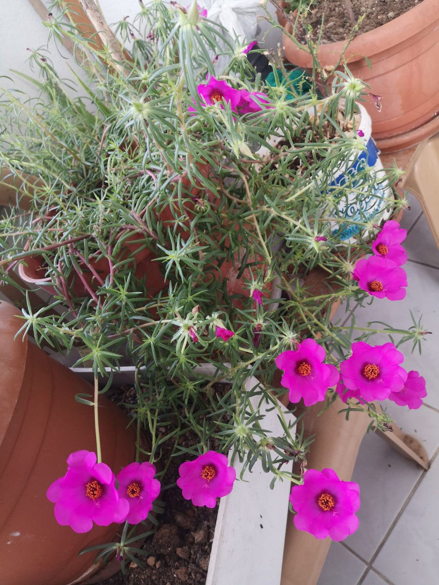 Seni unutmak kolay olmucak sana alışmıştım oysa 😭