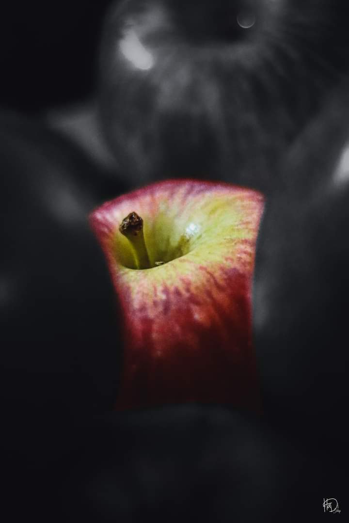 hadisiddiquiiii's tweet photo. Be Solo & Real in this world of Fake Masters. πππ―
.
.
.
#solo #real #world #fake #masters #apple #blackandwhite #surroundings #Canon750D #FruitPhotography #Lightroom #EyesOfHaDi #HaDiSiddiqui #standsolo #standfirm #Karachi #π― https://t.co/gr5xc8D3JC