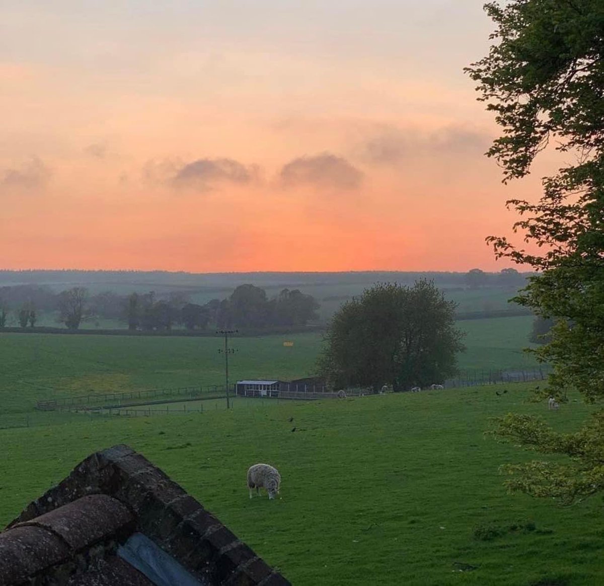 EngineRmCottage's tweet image. A room with a view. We have just one 2022 weekend left! 9th to 11th or 12th December. 
Message us for details. #roomwithaview #weekendbreak #firestation #convertedfirestation #yorkshire #yorkshirewolds #holidaycottage #sledmere #sledmerecottage #sunset 
engineroomcottage.com
