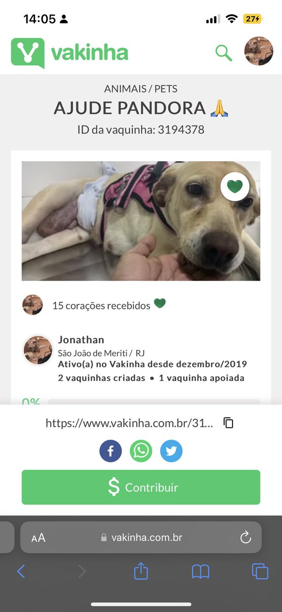 JhonnKlein69's tweet photo. GENTE ME AJUDEM A SALVAR A VIDA DA PANDORA QUE RESGATAMOS NA RUA . COMPARTILHA , AJUDE COM O QUE FOR .. MAS NÃO POSSO DEIXAR ELA MORRER .
https://t.co/fTz14wGlnh
#luisamel #institutoluisamel #cachorrinhas #luisasonza #pet #Vaquinhaonline https://t.co/5Yx8Iixcxe