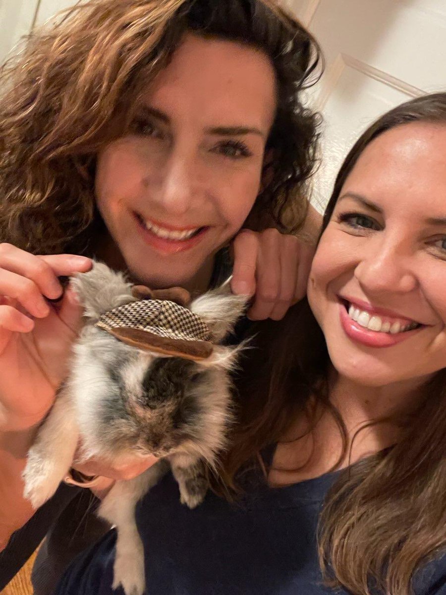 BunSilver's tweet photo. Hi All, Silver Bun Bunette- or as we’ve addressed her: “SherHopHomles” is investing her move from San Francisco to Oakland! We will still be in San Francisco #therapyanimal spreading some joy with the  @sfspca @AThegreat100 et al. What do you think of her Halloween 🎃 costume?! https://t.co/fJIhJmJuTS