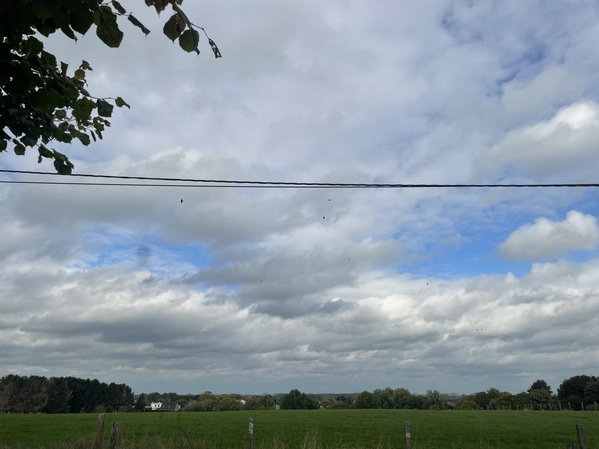 katovervloet's tweet photo. #vrtweer @Gemeente1959 #dendraad https://t.co/qMxQtjJLMe