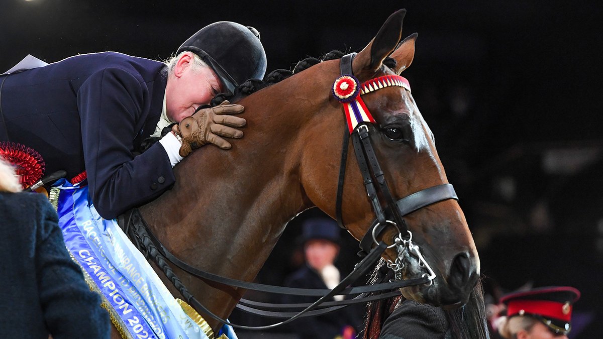 horseandhound's tweet photo. ‘The Queen wanted a home-bred to win at HOYS... and I've done it’: SEIB Racehorse to Riding Horse champion crowned https://t.co/IcRjI0T079 https://t.co/zGffvQbktR