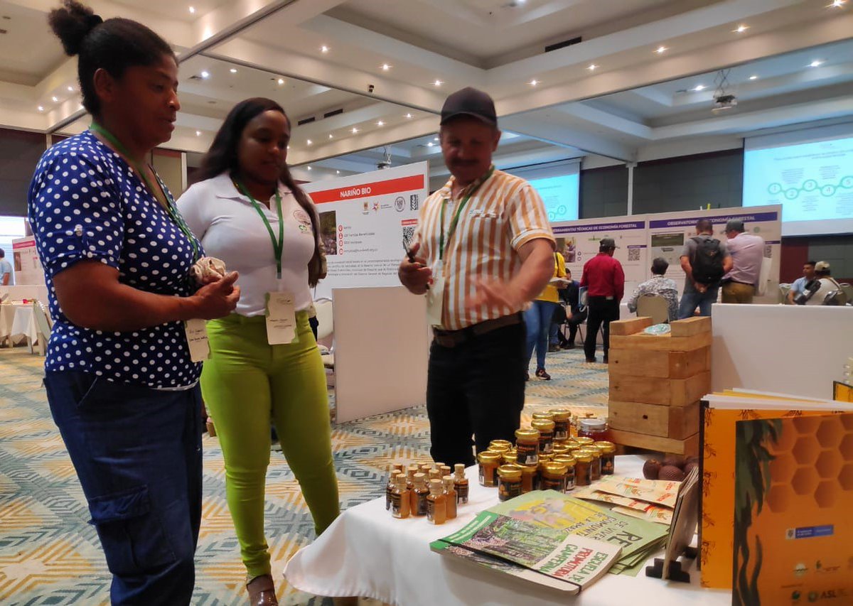 PnudColombia's tweet photo. En #ExpoBosques compartimos experiencias construidas con comunidades e instituciones en la Amazonía.🍃
Las Escuelas de Promotoría y Restauración Campesinas se presentan como modelo para el #ManejoForestalSostenible, la conectividad de los bosques, la sostenibilidad y la paz.🕊🌳 https://t.co/HgHiYbSQum