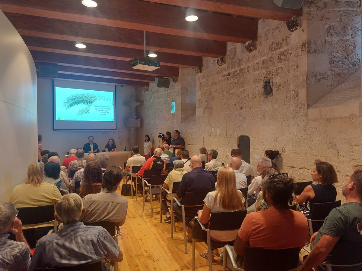 ajuntpalma's tweet photo. 🌲Palma superarà l’Objectiu 10.000 amb la sembra de més 2.550 arbres entre aquest mes i el proper mes de maig

👥 L'àrea d'Infraestructures explica el pla d’arbrat i la campanya de reforestació prevista al bosc de Bellver 

👏Gràcies a les entitats per l’interès 

#Objectiu10Mil https://t.co/AJF2czVUdR