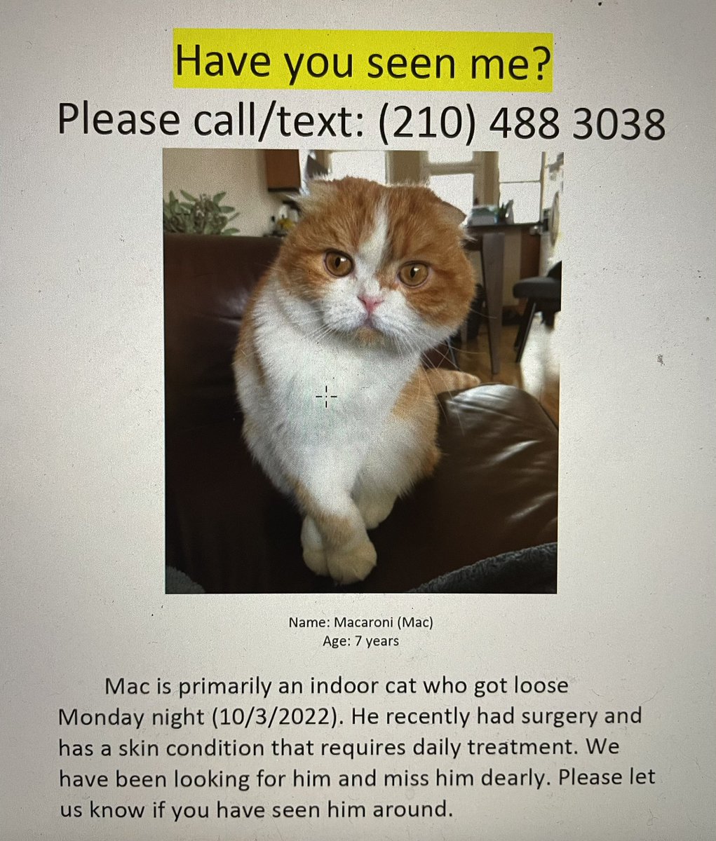 Anne Pierce tweet media