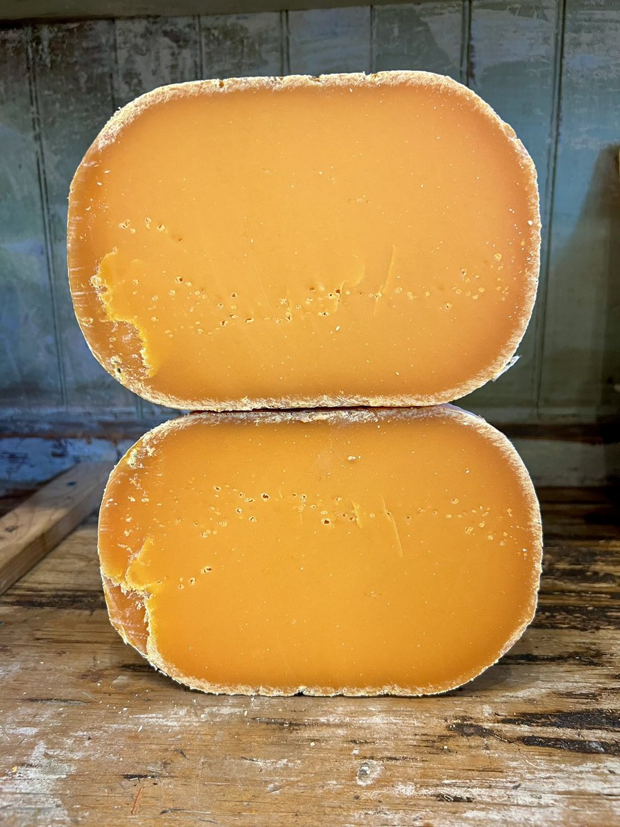 Cheesemonster tweet media