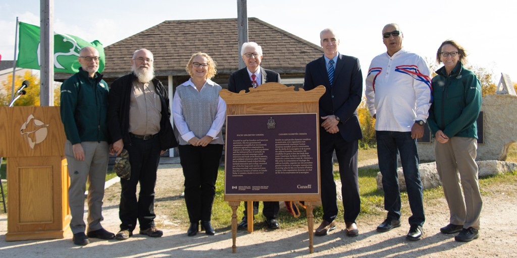 ParcsCanadaMB's tweet photo. Aujourd’hui, à @OakHammockMarsh, Parcs Canada a dévoilé une plaque de #CLMHC commémorant l’importance nationale de Canards Illimités Canada. @ducanada est un chef de file en matière de conservation des zones humides depuis sa fondation à #Winnipeg en 1938. https://t.co/qItaiGLNZW
