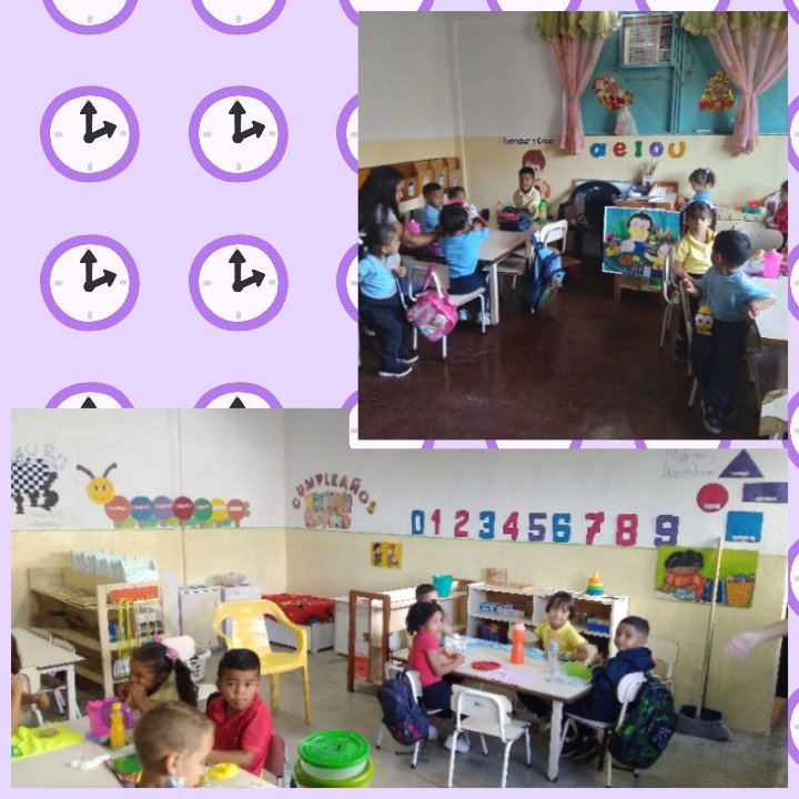 sucre_potencia's tweet photo. #05DeOct PENB Bella Vista ll Mcpio Sucre Potencia educativa
#RevolucionAgraria
@leoalvacabrera
@Soykarinacarpio@NicolasMaduro
@MPPEDUCACION
@ZE_Aragua https://t.co/ddiv0vRQDh