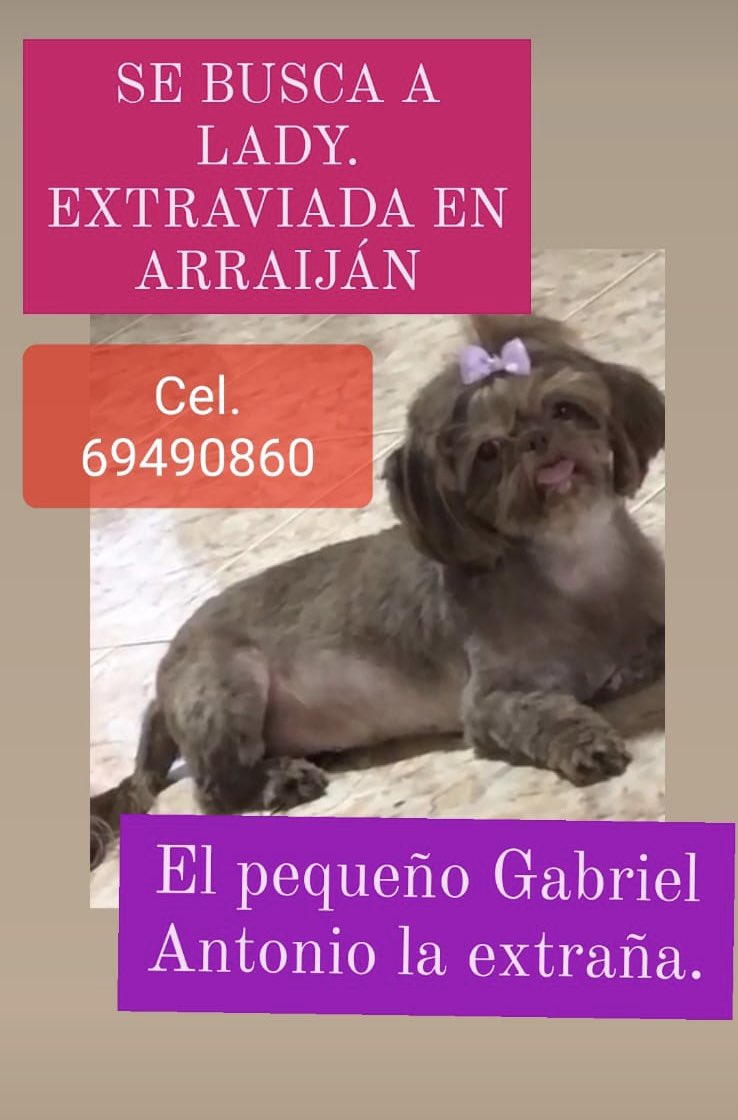 Agradezco sus RT <a href="/cokastar/">Sʀᴛᴀ. Coco✨</a> <a href="/JohanyCespedes/">Johany Céspedes</a> <a href="/MiryAyala/">Summer Miry😎☀️</a> <a href="/AlvaroAlvaradoC/">Alvaro Alvarado - Noticias 180 Minutos/ Sin Rodeos</a> <a href="/Jorgitoerc/">Don Jorge Rodriguez</a> <a href="/emalek1985/">Aeropuerto Enrique Malek</a> <a href="/MonicaCC18/">Monica</a> <a href="/limyueng/">Eduardo Lim Yueng</a> <a href="/rafazevallos/">Rafa Zevallos 🇵🇦</a> <a href="/rubenchenwong/">Rubén Chen W.</a>