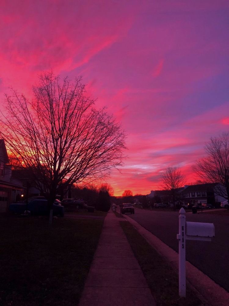 pink sky>>>>