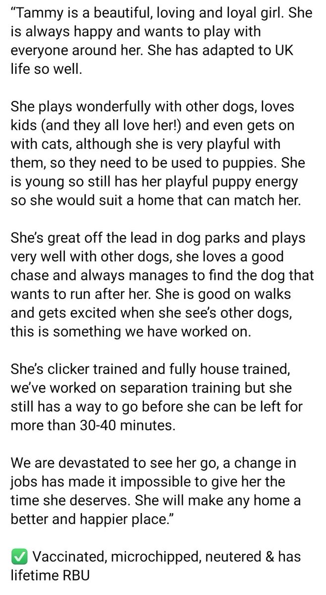 swbrescue's tweet photo. Tammy needs a new home due to her current owners change in circumstances! Please RT this is urgent! 
Please read full details on how lovely this beautiful girl is. She deserves a forever home 🐾
https://t.co/HP0JGofqrn https://t.co/wazwWf49uQ
