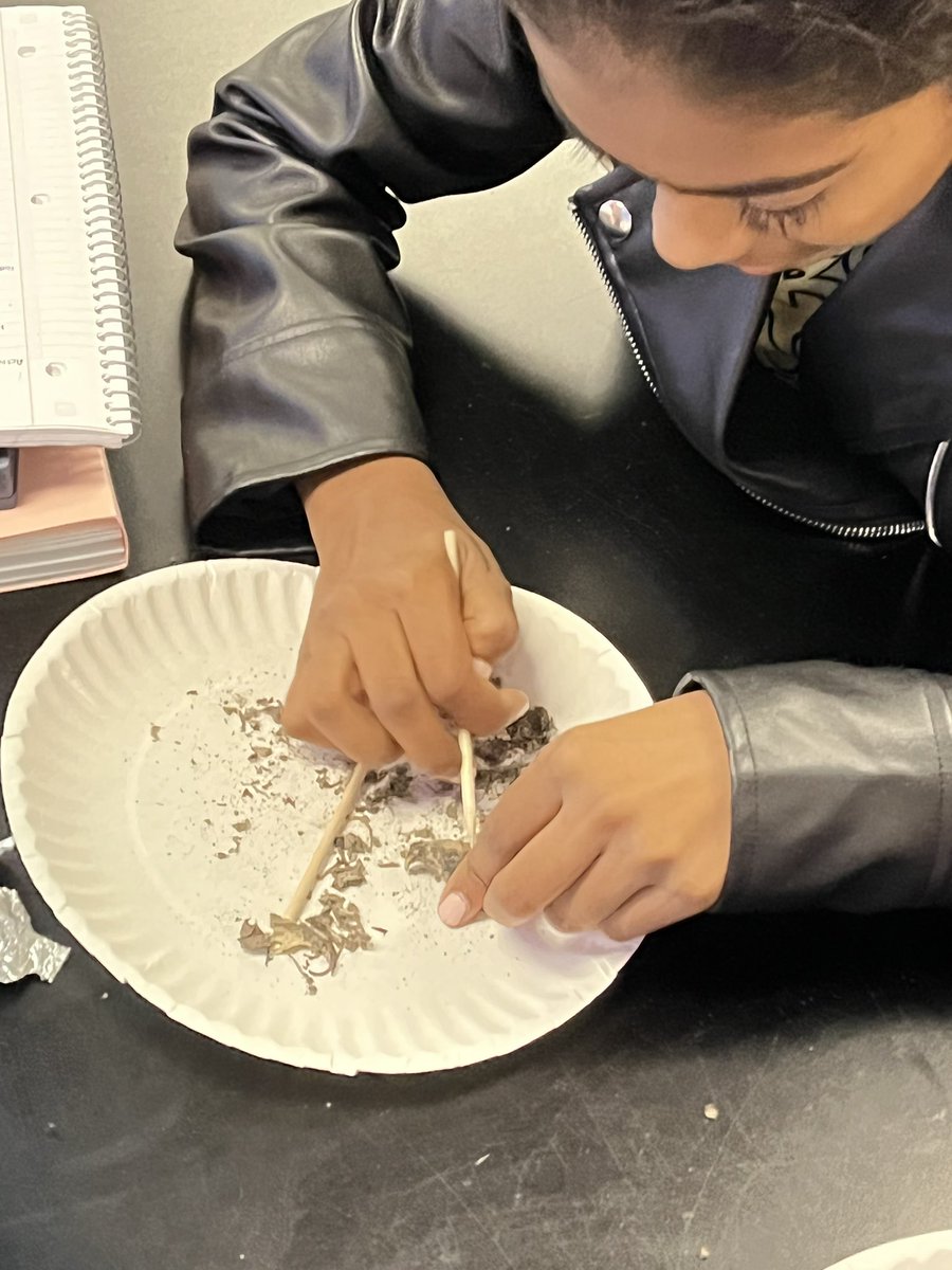 BonnellScience7's tweet photo. What’s for lunch?! Science 7 students are exploring feeding relationships to reconstruct food webs. #sciencerocks #smithknights #OneTROY https://t.co/Ws9cVvh5h8