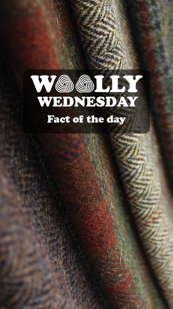 tetradsofas's tweet photo. To support @CampaignforWool each week we'll bring you a fun fact about #WhyWoolMatters &amp; why you might just want to #ChooseWool

Woven by hand in the Outer Hebrides, Harris Tweed is made from only the finest Scottish wool.

View the range: https://t.co/8vXEsfJpC8 https://t.co/FMWUoO8byt