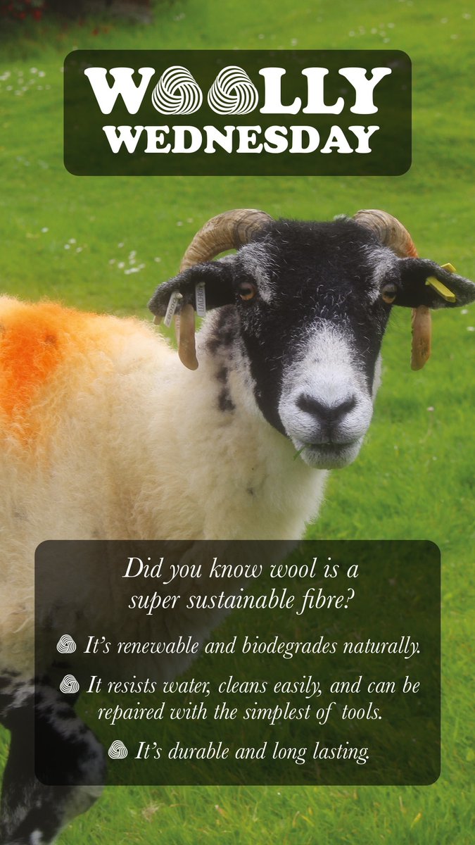 tetradsofas's tweet photo. To support @CampaignforWool each week we'll bring you a fun fact about #WhyWoolMatters &amp; why you might just want to #ChooseWool

Woven by hand in the Outer Hebrides, Harris Tweed is made from only the finest Scottish wool.

View the range: https://t.co/8vXEsfJpC8 https://t.co/FMWUoO8byt