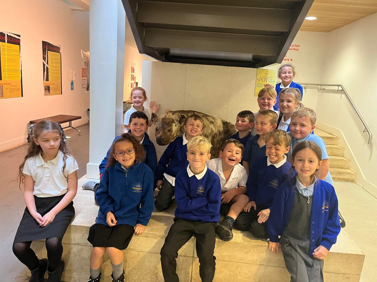 Oliver Jeffers Class Year 2 tweet media