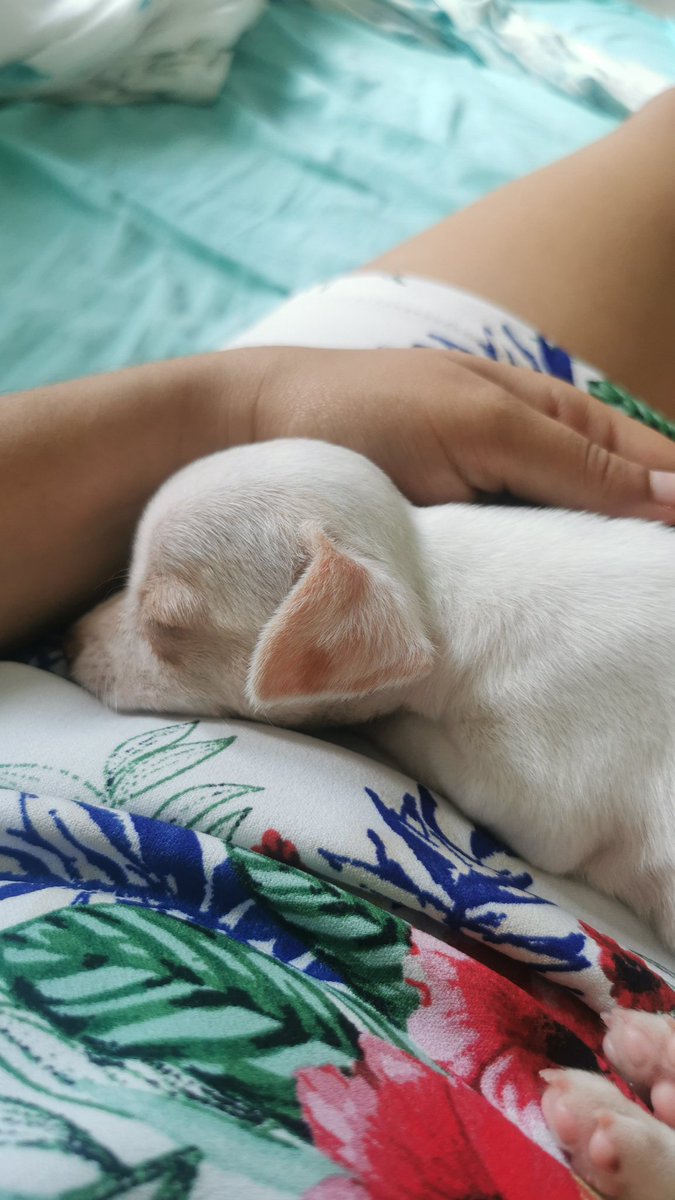 Yo aqui enamorada 😍