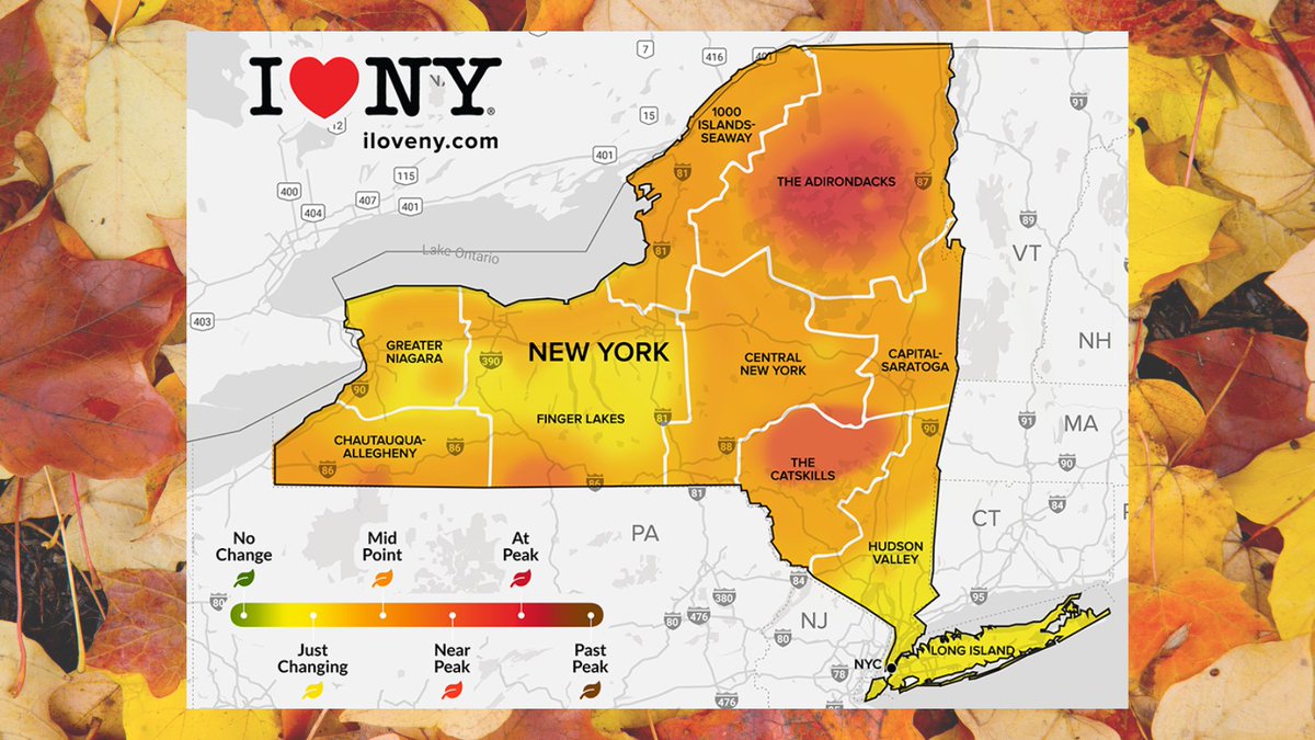 NYstateparks's tweet photo. This fall foliage report has New York looking pretty orange for this long #PathThroughHistory weekend! https://t.co/NK2dLPqcLF https://t.co/IhoCeXiukH