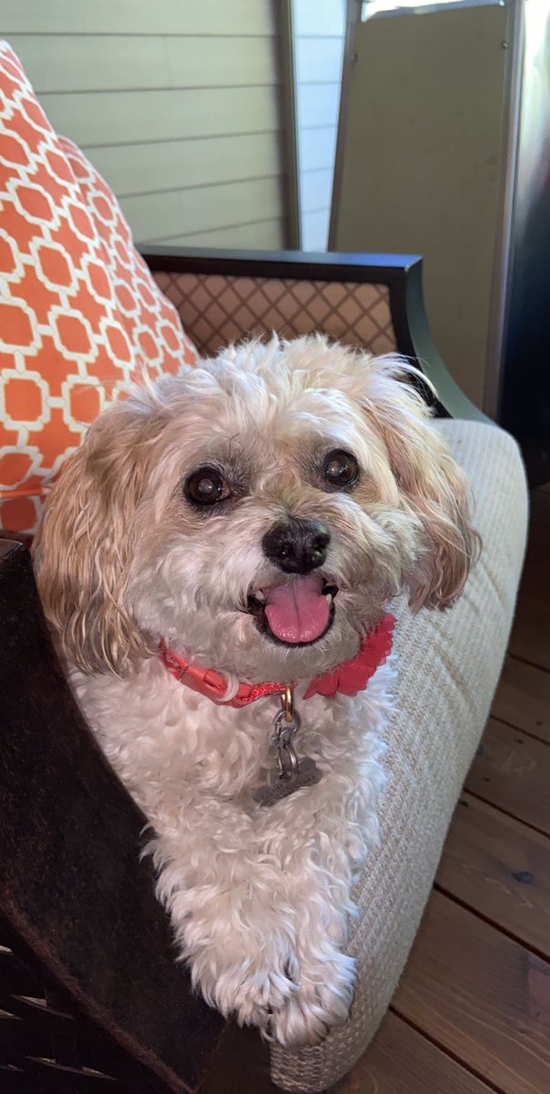 meg 💕 tweet media