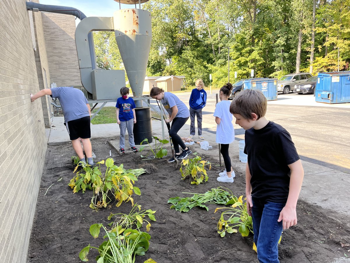 Colleen Reed tweet media