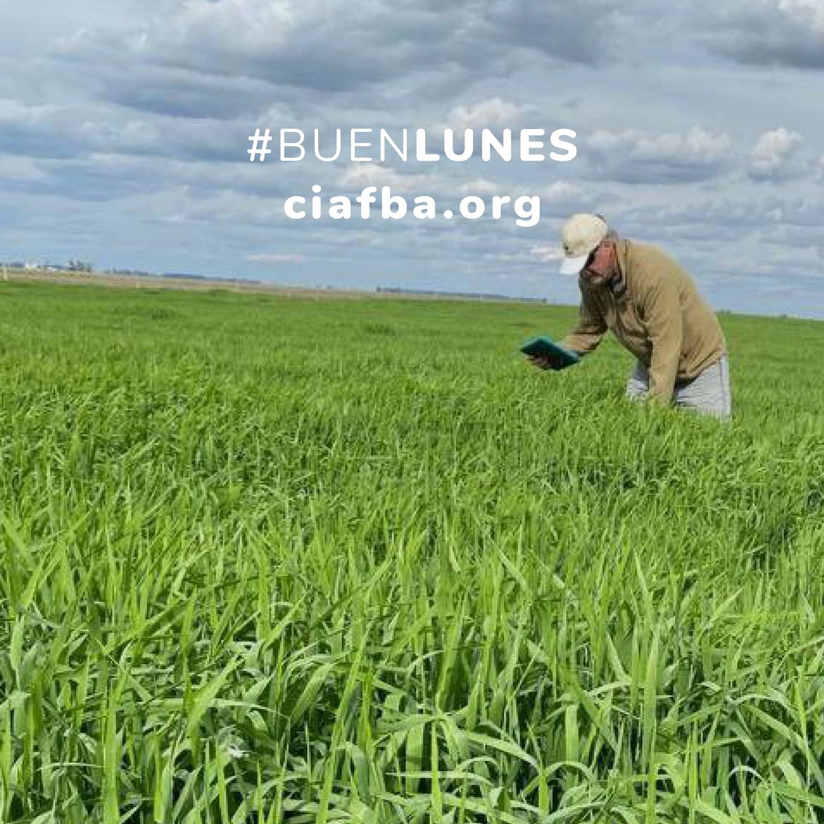 CiafbaOficial's tweet photo. 👍🌻🌱#BuenLunes y comienzo de semana más corta! Retomamos nuestra atención desde mañana martes:
📱 CENTRO 221 586 9016
📱 NORTE 2477 51 0015 / 1473
📱 SUDESTE 249 428 6222
📱 SUR 291 504 0032

💻https://t.co/HGfB4TXxrh

#SomosColegio
#Feriado
#YoMeMatriculo https://t.co/lhwhw9PNSI