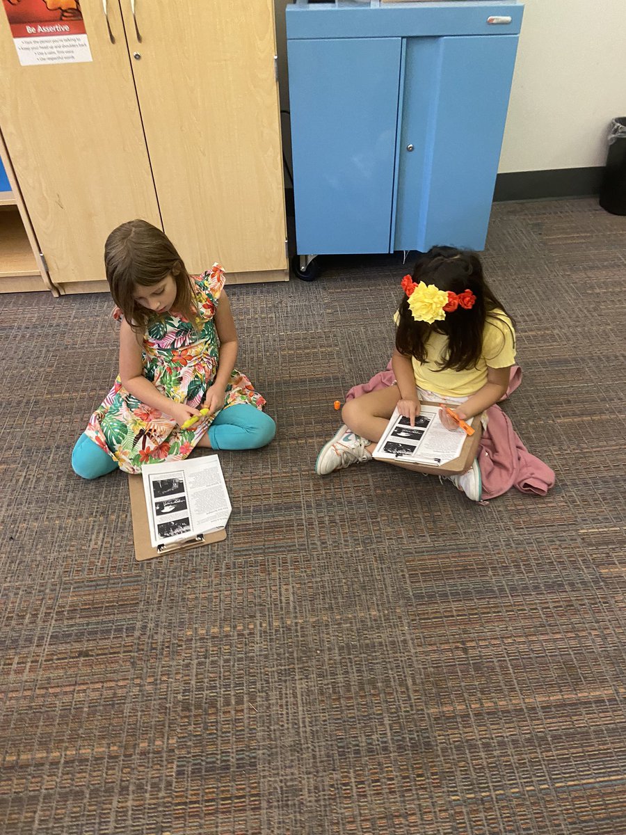 MrsMulligan_AOE's tweet photo. Day 2 of research was a success ! With partners we worked together to find information from the text that was comparing AOES to the Cave School. #aoes https://t.co/icQvgofSK0