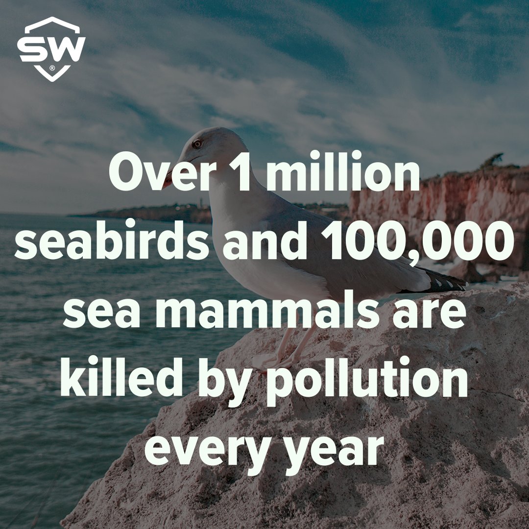 SWSSGlobal's tweet photo. Our gloves are plastic free and biodegrade in landfills quicker than traditional gloves, leaving no chemical residue. No need to litter, just throw it in the trash and let the landfill do the rest.💚#swsafety #mammals #seabirds #savetheplanet #litter #cleanoceans #naturetips https://t.co/FVQ4dcWSw3