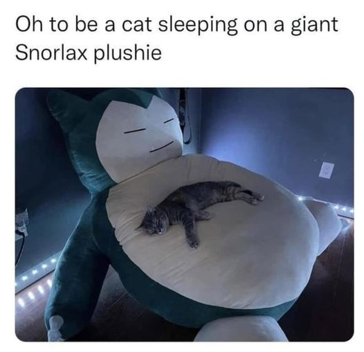 WholesomeMemes (@wholesomememe) on Twitter photo 
