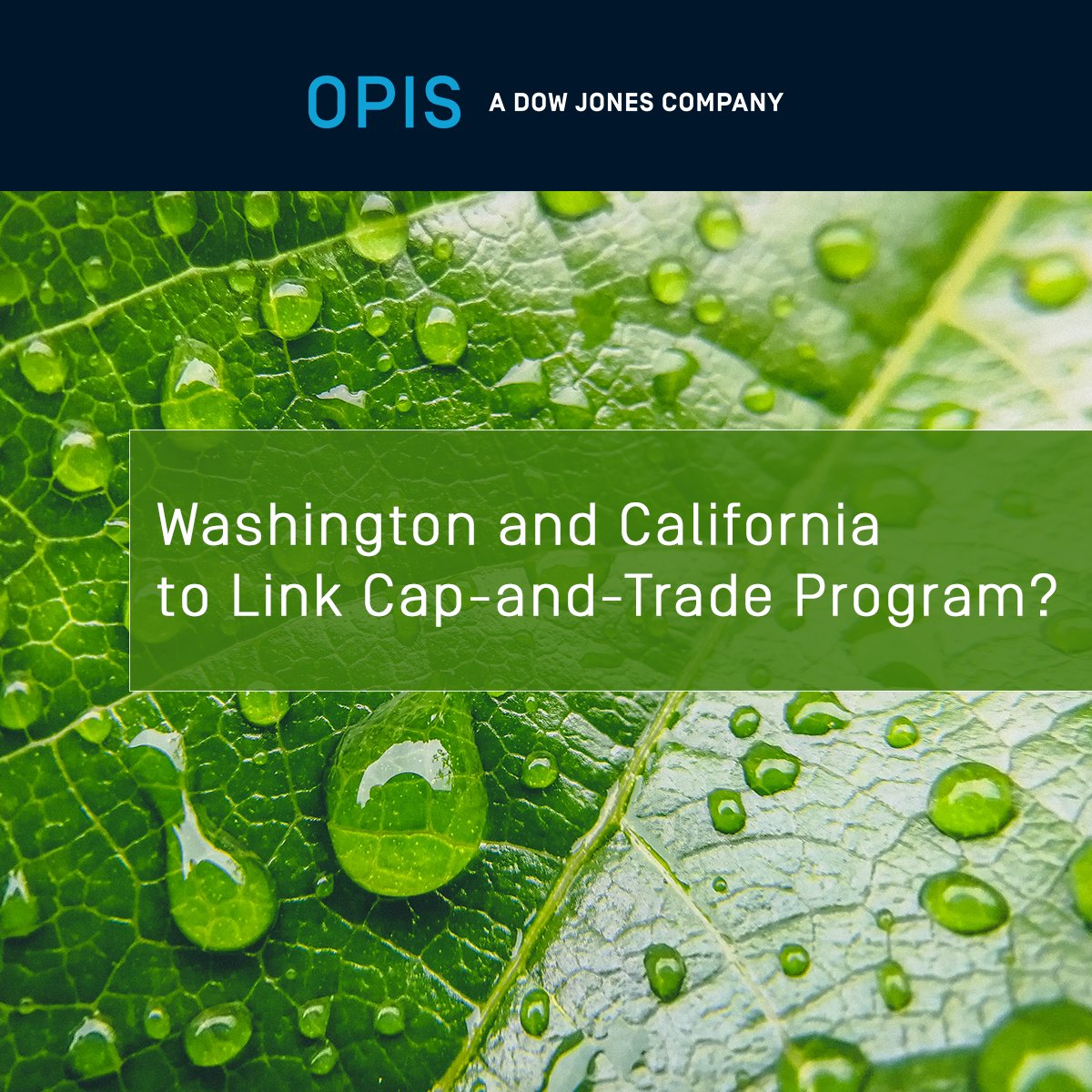 OPIS's tweet photo. Washington State May Link Cap-and-Trade Program to California by 2027 According to Analysts. #carbon

Read the full story: https://t.co/tzwT1DVxt1 https://t.co/TNIme3afqD