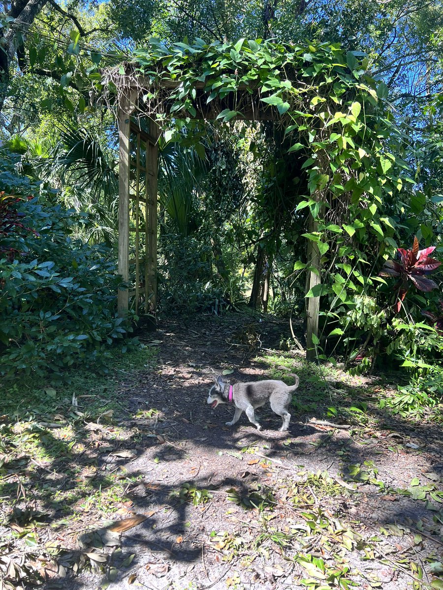 I think I’m winning at this dog mom thing