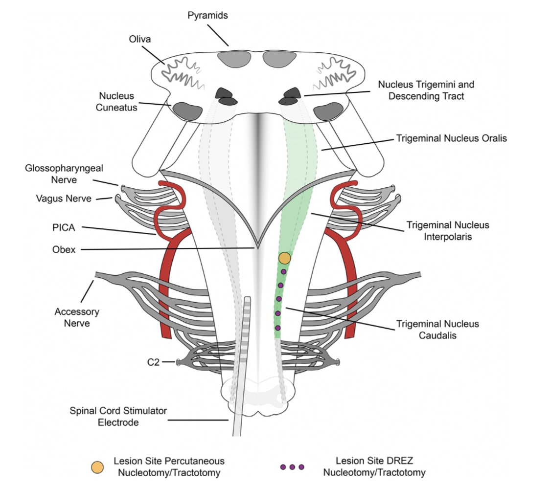 Jonathan C. Lau tweet media