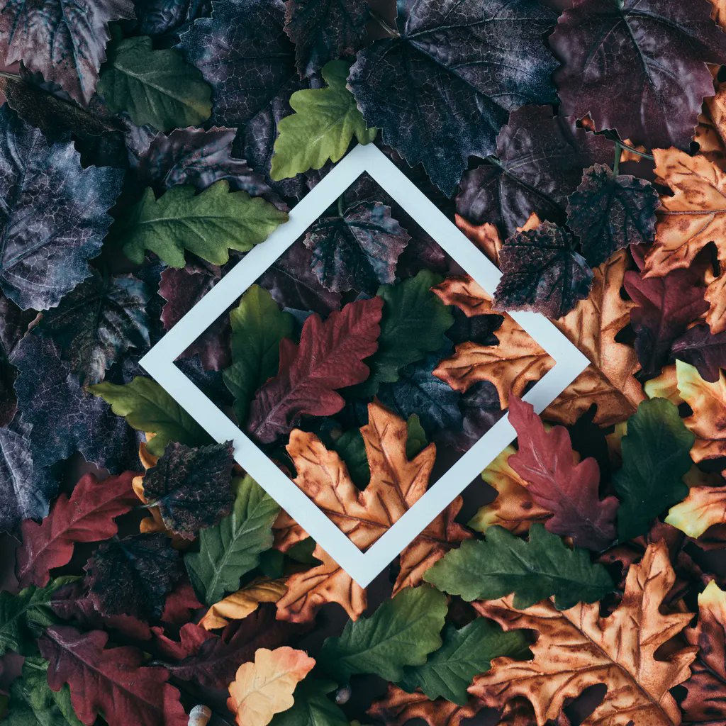 nounproject's tweet photo. Find festive fall flat-lays that don't fall flat. 🍁 😍
Check out our favorite autumnal photo and icon collections: https://t.co/oU2QD7Gc3S
(Pictured: Fall flat lays by the Zamurovic Brothers: https://t.co/VldxRPA5Do)
#Fall2022 #FallPhotos #AutumnWallpaper #Autumnleaves https://t.co/xMvAGFkSOB